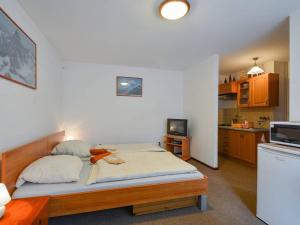 a bedroom with a bed and a small kitchen at Vila Strážan in Poprad