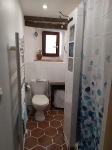 a small bathroom with a toilet and a window at Le refuge in Montabon +21 photos