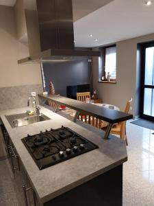 a kitchen with a stove top oven next to a sink at Gîte d'ammerschwihr in Ammerschwihr