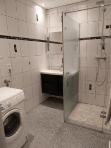 a bathroom with a shower and a washing machine at Gîte d'ammerschwihr in Ammerschwihr