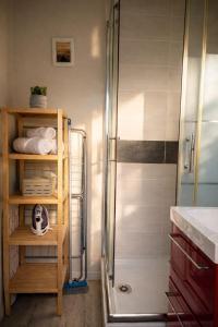 a bathroom with a shower and a shelf with towels at Le cocon San Francisco in Tours
