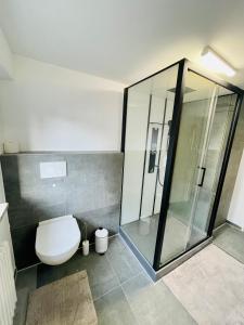 a bathroom with a toilet and a glass shower at Lichtdurchflutetes Souterrain Apartment in Schapen in Braunschweig +16 photos