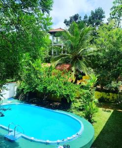 a swimming pool in front of a resort at Nelum Vegan House in Bentota