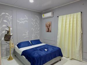 a bedroom with a bed with blue sheets and a window at Cilipo House in Palomino