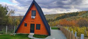ein kleines Haus mit einem kegelförmigen Dach in der Unterkunft Roua A-frame in Deal