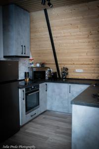eine Küche mit Edelstahlgeräten und Holzwänden in der Unterkunft Roua A-frame in Deal