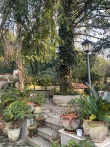 a garden with lots of potted plants and a street light at Oasi Gioia verde in Vescia