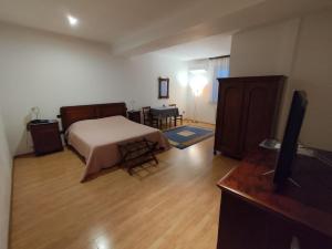 a bedroom with a bed and a flat screen tv at Vila Zoppas Inn in Sînnicolau Mare
