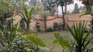 a garden with a fence and some plants at Executive Royal Garden in Islamabad