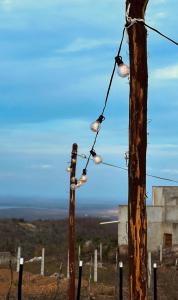 a wooden pole with lights attached to a telephone pole at Chalé serra da formiga in Riachuelo +2 photos