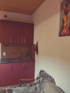 a kitchen with purple cabinets and a sink at Apartment of mestia in Mestia