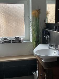 a bathroom with a sink and a window at FeWo BiBo in Freiberg