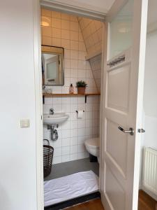 a bathroom with a toilet and a sink at At Loum in Alkmaar