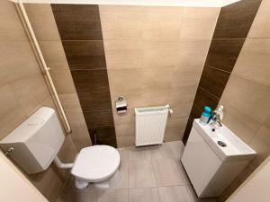 a small bathroom with a toilet and a sink at BE-LE-VALÓ APARTMAN in Szécsény +3 photos