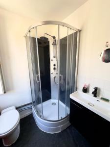 a bathroom with a shower and a toilet and a sink at petit studio atypique in Graulhet