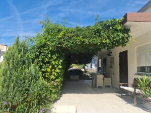 a garden with a green hedge and a building at Studio Sofia 2 in Novalja