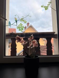 a vase with flowers in front of a window at Titi90 in Belfort