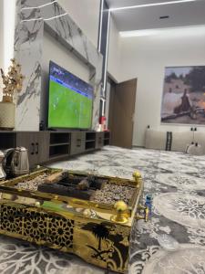 Televisyen dan/atau pusat hiburan di P Nice