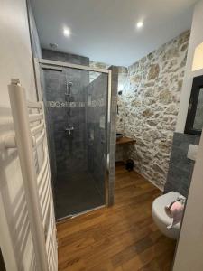 a bathroom with a shower and a toilet at Au rêve de Fadi in Bruch