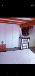 a bedroom with a bunk bed with a ladder at Maison 2-4 personnes, vue sur le Sancy in Murat-le-Quaire