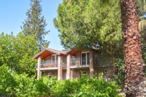 a house in the middle of trees at Ballı Butik hotel in Kayakoy