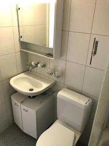 a small bathroom with a toilet and a sink at 3-Room Apartment Up to 5 Guests Family Business Free WiFi Netflix Sky DAZN Disney Plus 1000 International TV Channels in Wynau +25 photos