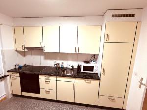 a kitchen with white cabinets and a sink and a microwave at 3-Room Apartment Up to 5 Guests Family Business Free WiFi Netflix Sky DAZN Disney Plus 1000 International TV Channels in Wynau
