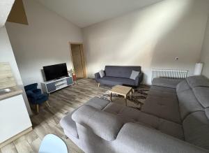 a living room with a couch and a tv at L'ECURIE du Château in Lebétain
