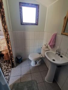 a bathroom with a toilet and a sink at tiny house kiñeco melipeuco conguillio in Santa María