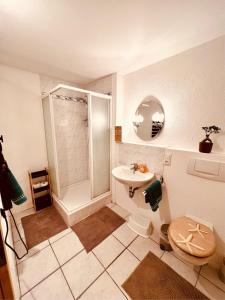 a bathroom with a shower and a toilet and a sink at Ferienwohnung momentglücklich in Eggingen in Eggingen