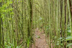 Fotografie z fotogalerie ubytování Hotel Roca Dura v destinaci Herradura