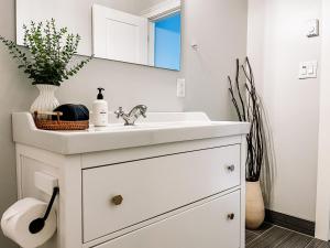 a bathroom with a sink and a mirror at Sooke BnB Otter Point Getaway - Relax & Recharge in Nature, Private 7min to Sooke in Sooke +19 photos