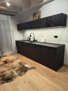 a kitchen with black cabinets and a dog laying on the floor at Willa Górska Pasja in Szczyrk