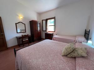 a bedroom with two beds and a mirror at Il Lentischio Casa 3 in Nulvi
