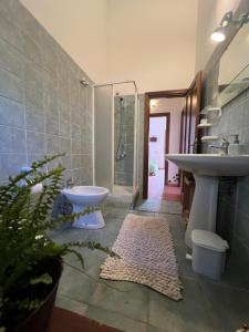 a bathroom with a sink and a toilet and a shower at Il Lentischio Casa 3 in Nulvi +14 photos