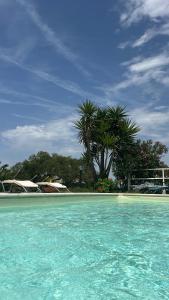 a pool of blue water with palm trees in the background at Il Lentischio Casa 3 in Nulvi