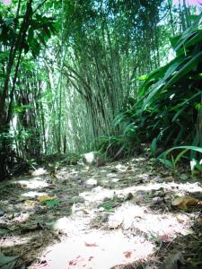 Fotografie z fotogalerie ubytování Hotel Roca Dura v destinaci Herradura