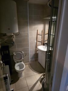 a small bathroom with a toilet and a sink at Les deux écureuils in Vresse-sur-Semois