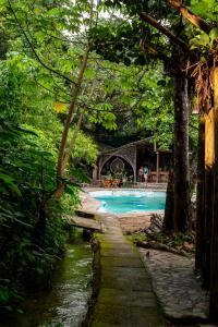 a swimming pool next to a river with trees at Rio Elemento Minca in Santa Marta