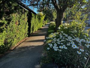 a garden with blue and white flowers and a sidewalk at 2BDR Stylish Comfort Parkside in Vancouver