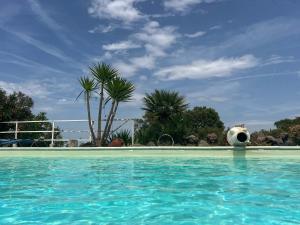 a large swimming pool with a large ball in the water at Il Lentischio Casa1 in Nulvi