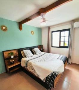 a bedroom with a large bed with blue walls at L'abri côtier, plage sans sargasses à 3mn à pied in Port-Louis