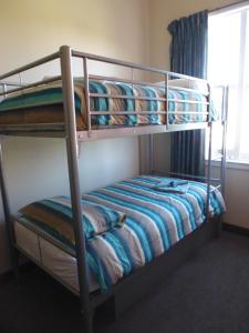 zwei Etagenbetten in einem Zimmer mit Fenster in der Unterkunft Happy Backpacker in Penguin