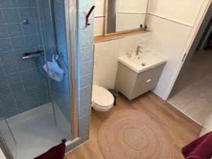 a bathroom with a shower and a toilet and a sink at Schöne Wohnung an einer Pferdeweide in Borstel