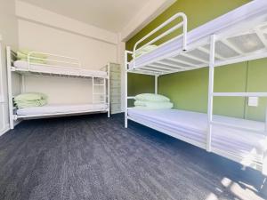 two bunk beds in a room with green walls at Utopia31 Hostel - formerly Frienz Backpacker in Auckland