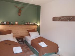 two beds in a room with green walls at La chambre du Villard in Saint-Béron