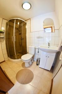 a bathroom with a toilet and a sink and a shower at Agroturystyka Wzgórze Magnolii in Długopole-Zdrój