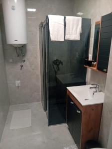 a bathroom with a shower and a sink at Stan na dan Bor in Bor +9 photos