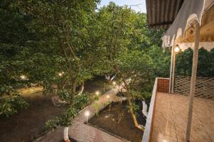 an overhead view of a garden with trees and lights at The Wilds Villa Gir Jungle Stay with Swimming Pool in Sasan Gir