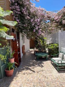 a patio with two benches and a tree with purple flowers at Hostal Mar De Bahía in Bahia Inglesa